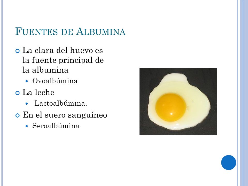 Fuentes de Albumina La clara del huevo es la fuente principal de la albumina. Ovoalbúmina. La leche.