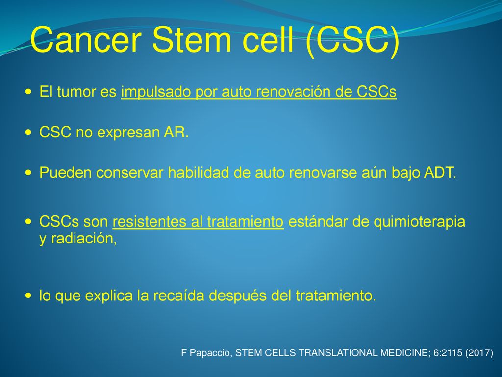 Cancer Stem cell (CSC) El tumor es impulsado por auto renovación de CSCs. CSC no expresan AR.