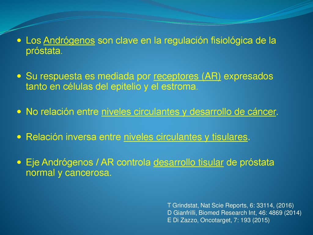 Los Andrógenos son clave en la regulación fisiológica de la próstata.