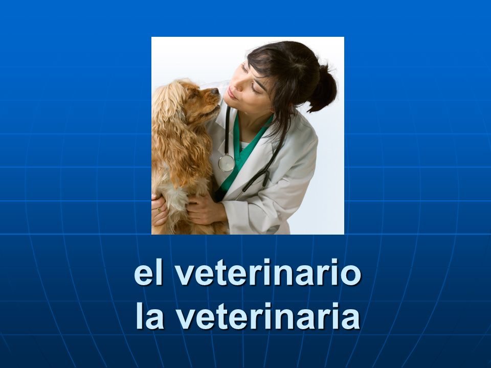 el veterinario la veterinaria