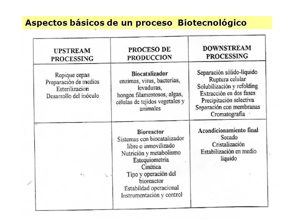 Aspectos básicos de un proceso Biotecnológico