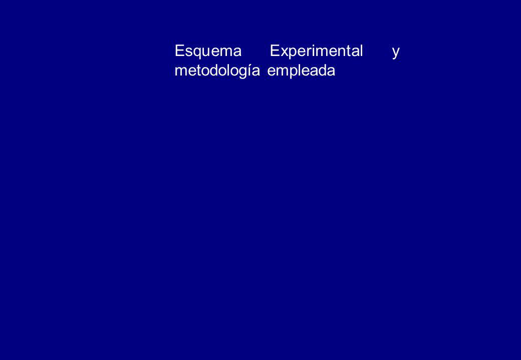 Esquema Experimental y metodología empleada