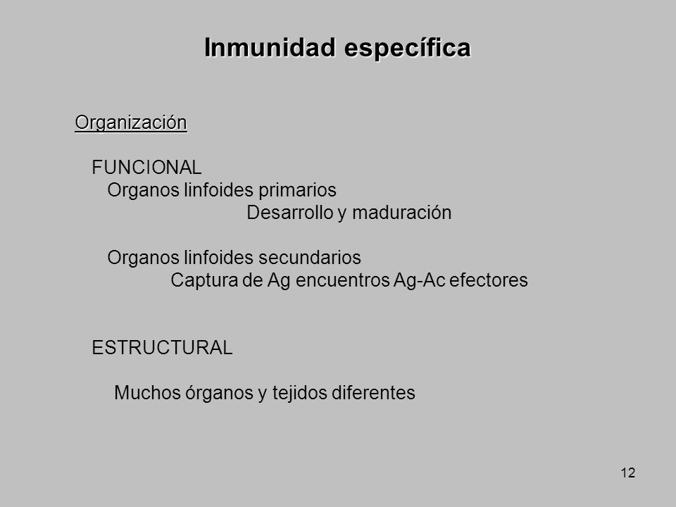 Inmunidad específica Organización FUNCIONAL
