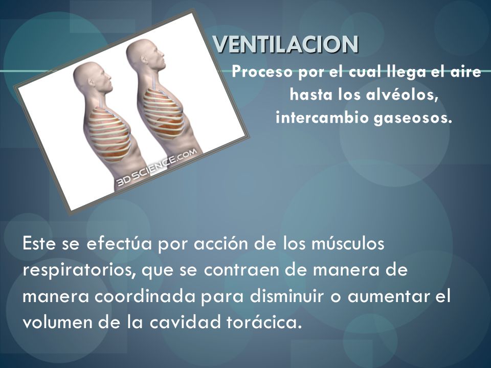 VENTILACION Proceso por el cual llega el aire hasta los alvéolos, intercambio gaseosos.