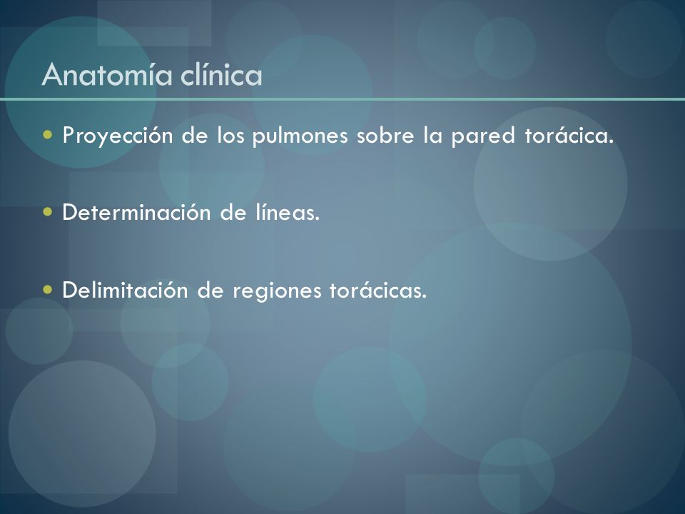Anatomía clínica Proyección de los pulmones sobre la pared torácica.