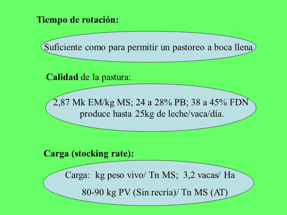 Suficiente como para permitir un pastoreo a boca llena