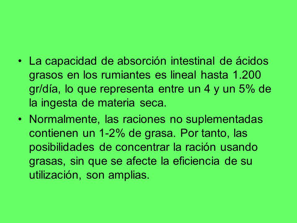 La capacidad de absorción intestinal de ácidos grasos en los rumiantes es lineal hasta gr/día, lo que representa entre un 4 y un 5% de la ingesta de materia seca.