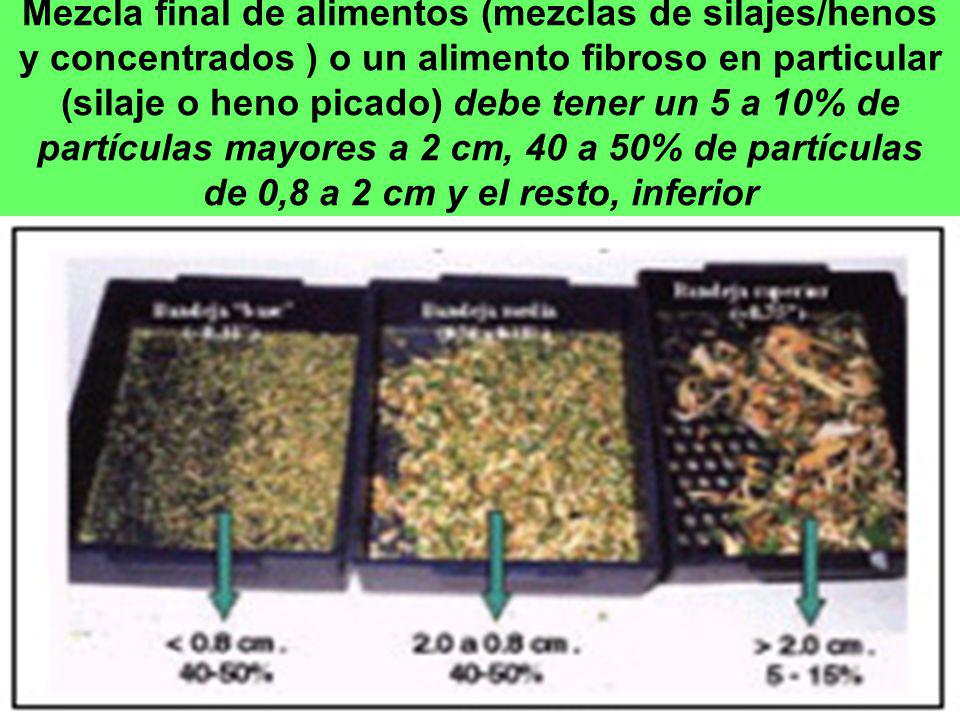 Mezcla final de alimentos (mezclas de silajes/henos y concentrados ) o un alimento fibroso en particular (silaje o heno picado) debe tener un 5 a 10% de partículas mayores a 2 cm, 40 a 50% de partículas de 0,8 a 2 cm y el resto, inferior