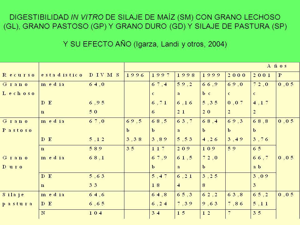DIGESTIBILIDAD IN VITRO DE SILAJE DE MAÍZ (SM) CON GRANO LECHOSO (GL), GRANO PASTOSO (GP) Y GRANO DURO (GD) Y SILAJE DE PASTURA (SP) Y SU EFECTO AÑO (Igarza, Landi y otros, 2004)