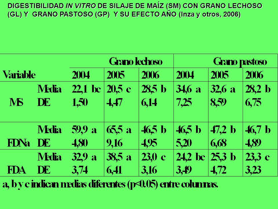 DIGESTIBILIDAD IN VITRO DE SILAJE DE MAÍZ (SM) CON GRANO LECHOSO (GL) Y GRANO PASTOSO (GP) Y SU EFECTO AÑO (Inza y otros, 2006)