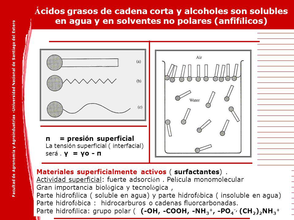 Ácidos grasos de cadena corta y alcoholes son solubles en agua y en solventes no polares (anfifílicos)