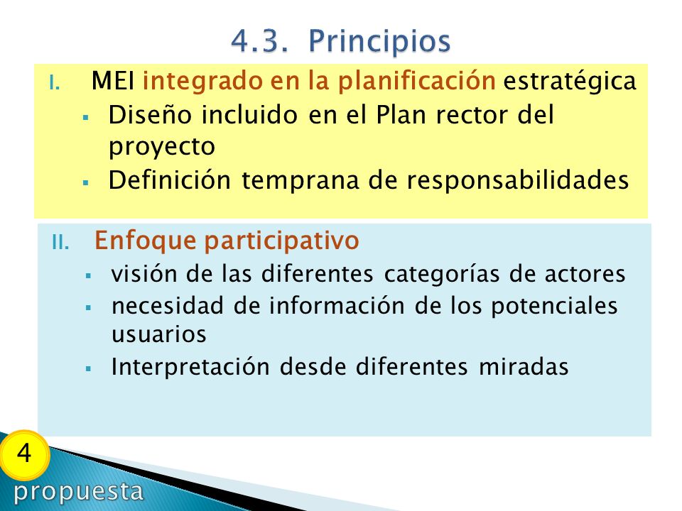 4.3. Principios MEI integrado en la planificación estratégica. Diseño incluido en el Plan rector del proyecto.