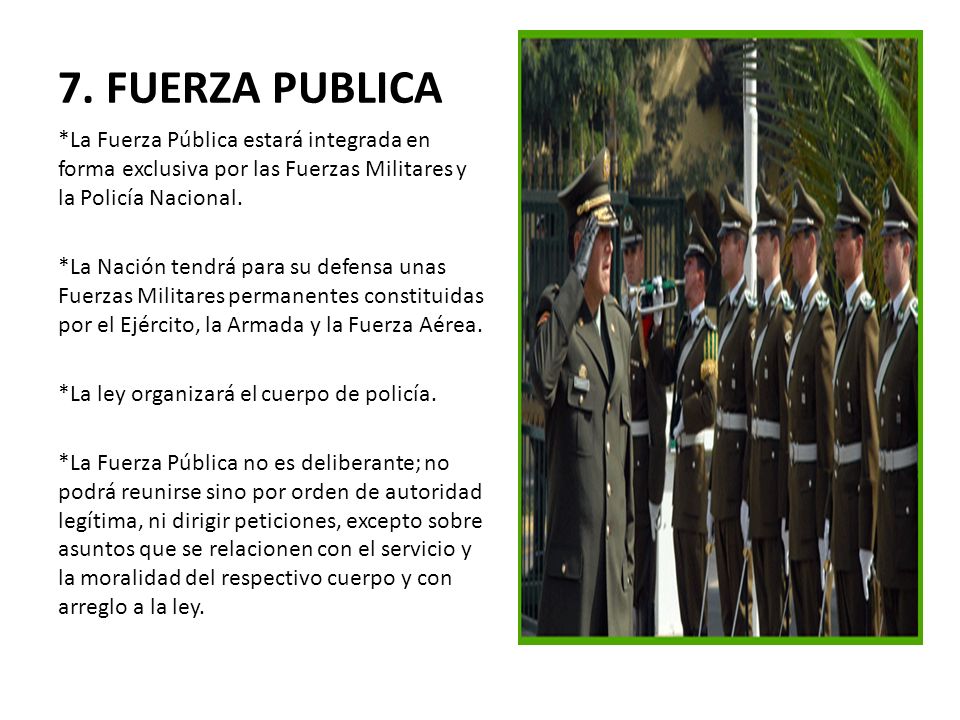 7. FUERZA PUBLICA *La Fuerza Pública estará integrada en forma exclusiva por las Fuerzas Militares y la Policía Nacional.