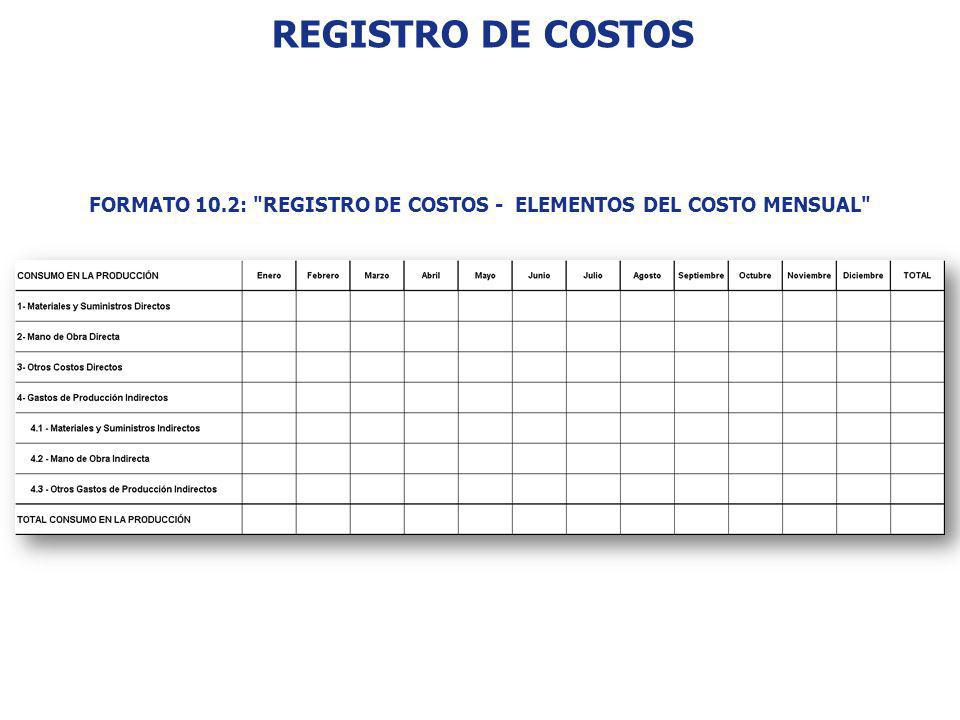 FORMATO 10.2: REGISTRO DE COSTOS - ELEMENTOS DEL COSTO MENSUAL