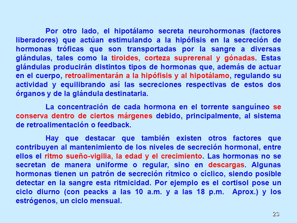 Por otro lado, el hipotálamo secreta neurohormonas (factores liberadores) que actúan estimulando a la hipófisis en la secreción de hormonas tróficas que son transportadas por la sangre a diversas glándulas, tales como la tiroides, corteza suprerenal y gónadas. Estas glándulas producirán distintos tipos de hormonas que, además de actuar en el cuerpo, retroalimentarán a la hipófisis y al hipotálamo, regulando su actividad y equilibrando así las secreciones respectivas de estos dos órganos y de la glándula destinataria.