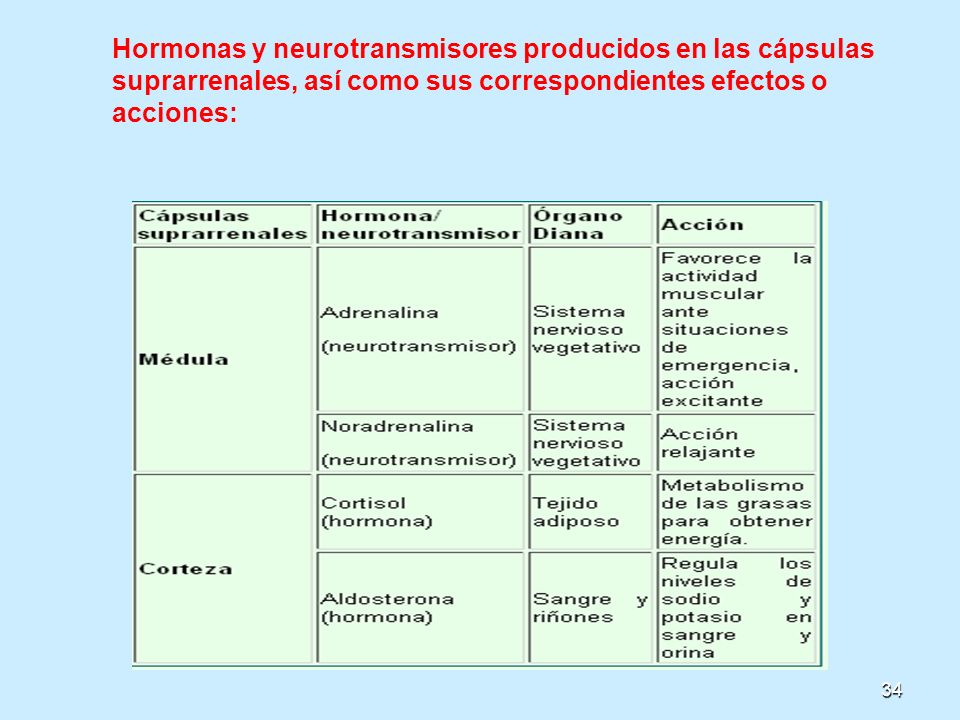 Hormonas y neurotransmisores producidos en las cápsulas suprarrenales, así como sus correspondientes efectos o acciones: