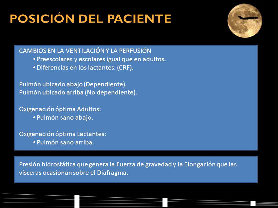 POSICIÓN DEL PACIENTE CAMBIOS EN LA VENTILACIÓN Y LA PERFUSIÓN