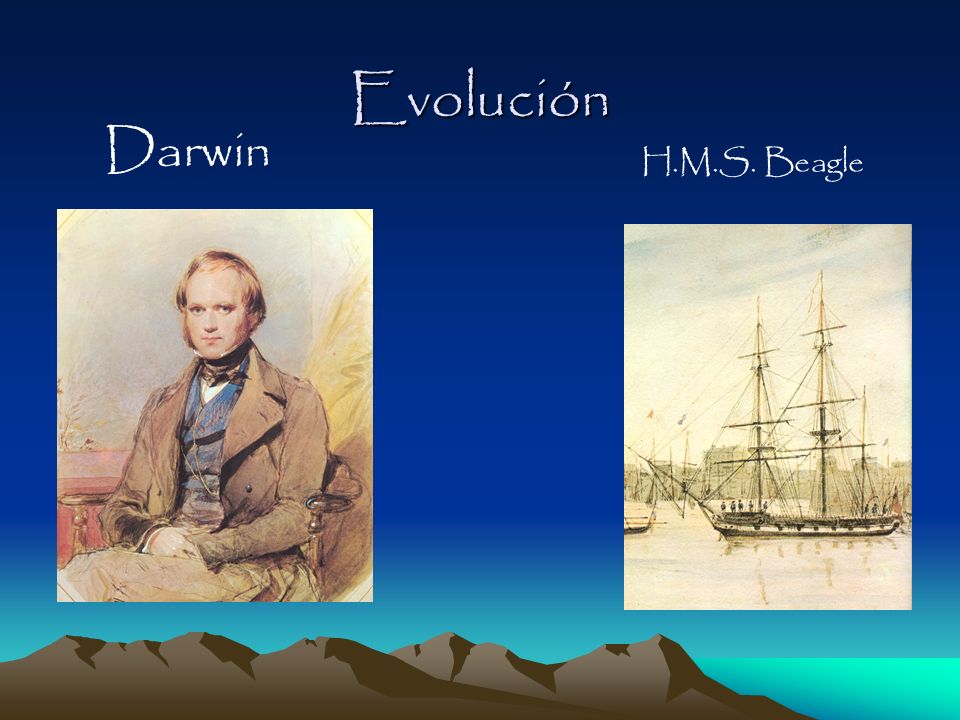 Evolución Darwin H.M.S. Beagle