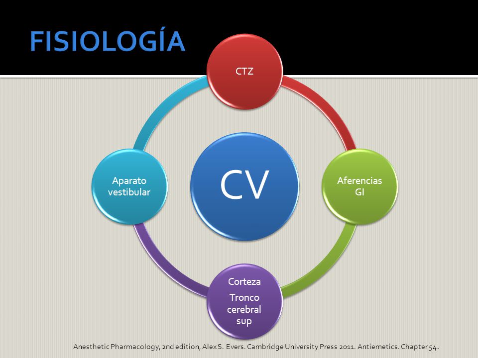 CV FISIOLOGÍA CTZ Aparato vestibular Aferencias GI Corteza