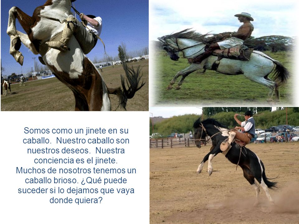 Somos como un jinete en su caballo. Nuestro caballo son nuestros deseos. Nuestra conciencia es el jinete.