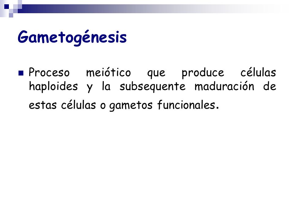 Gametogénesis Proceso meiótico que produce células haploides y la subsequente maduración de estas células o gametos funcionales.