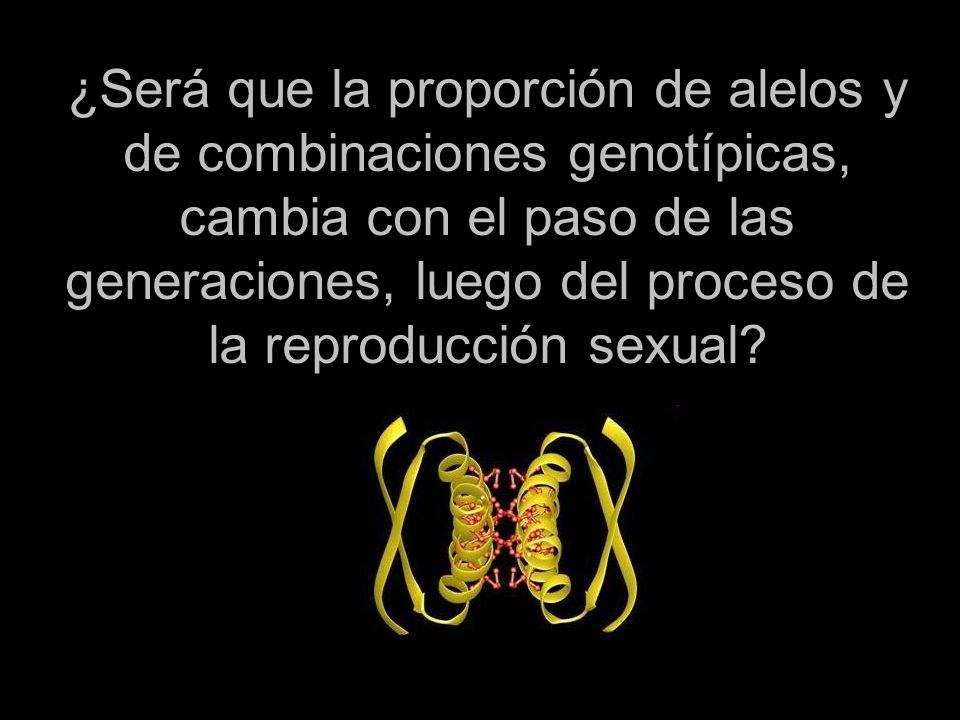¿Será que la proporción de alelos y de combinaciones genotípicas, cambia con el paso de las generaciones, luego del proceso de la reproducción sexual