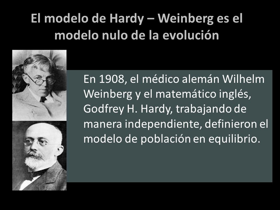 El modelo de Hardy – Weinberg es el modelo nulo de la evolución