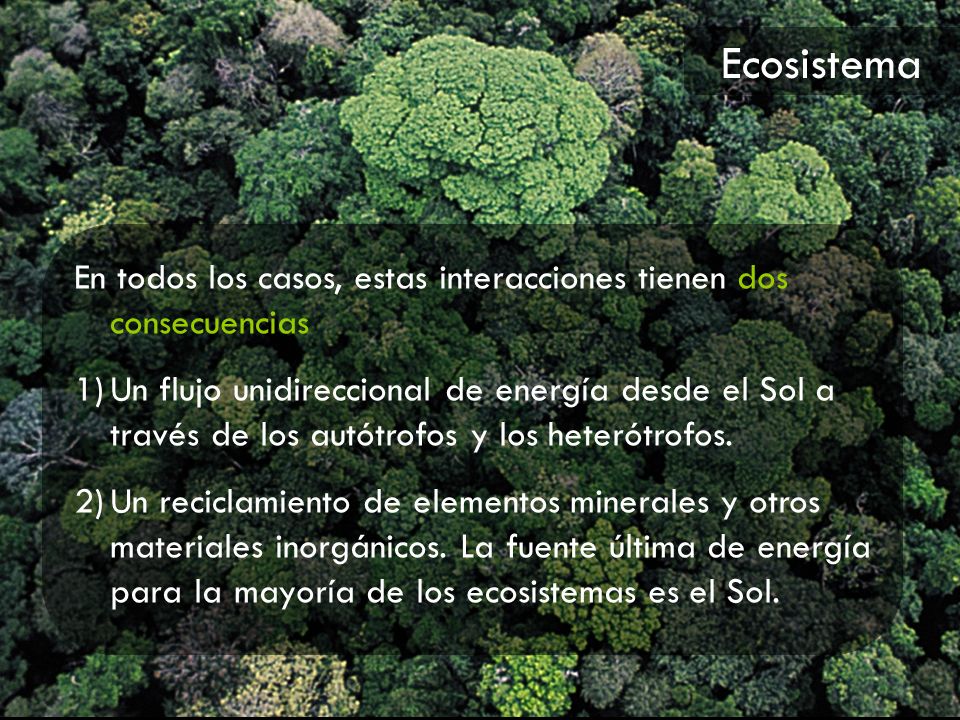 Ecosistema En todos los casos, estas interacciones tienen dos consecuencias.