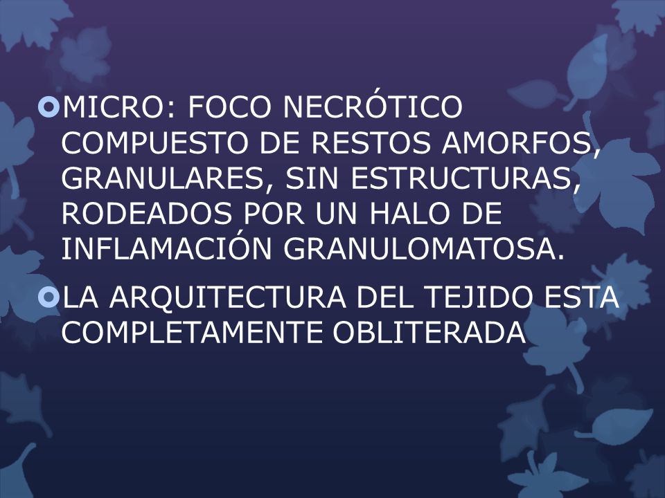 MICRO: FOCO NECRÓTICO COMPUESTO DE RESTOS AMORFOS, GRANULARES, SIN ESTRUCTURAS, RODEADOS POR UN HALO DE INFLAMACIÓN GRANULOMATOSA.