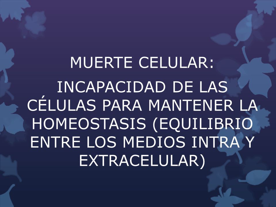 MUERTE CELULAR: INCAPACIDAD DE LAS CÉLULAS PARA MANTENER LA HOMEOSTASIS (EQUILIBRIO ENTRE LOS MEDIOS INTRA Y EXTRACELULAR)