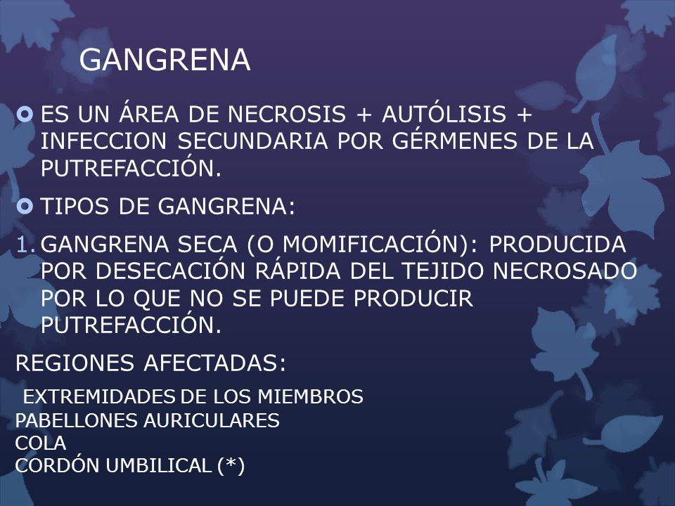GANGRENA ES UN ÁREA DE NECROSIS + AUTÓLISIS + INFECCION SECUNDARIA POR GÉRMENES DE LA PUTREFACCIÓN.