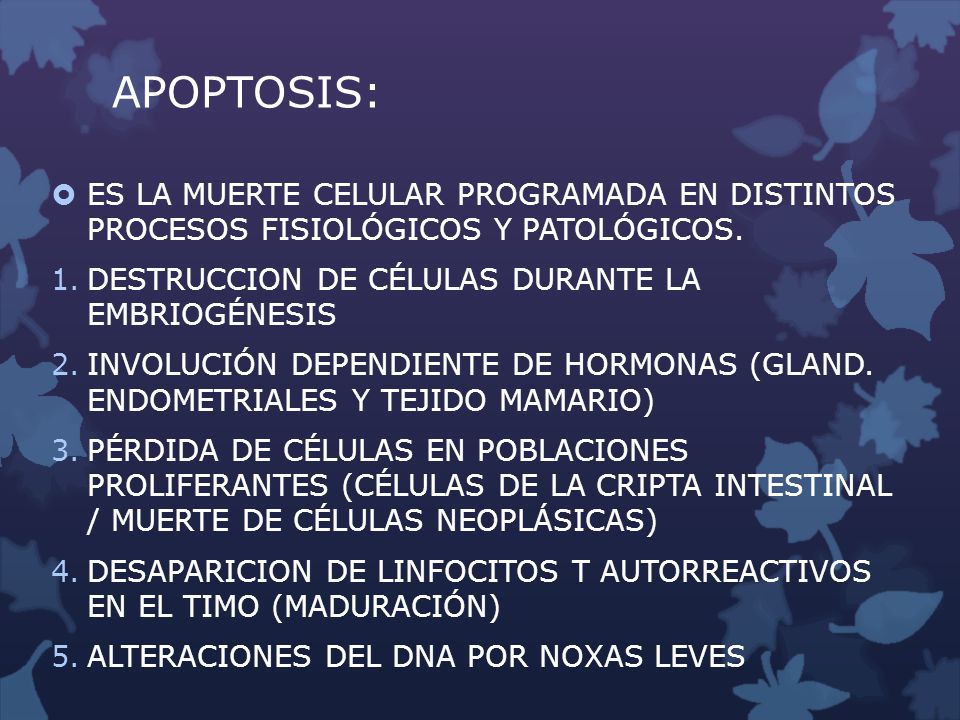 APOPTOSIS: ES LA MUERTE CELULAR PROGRAMADA EN DISTINTOS PROCESOS FISIOLÓGICOS Y PATOLÓGICOS. DESTRUCCION DE CÉLULAS DURANTE LA EMBRIOGÉNESIS.