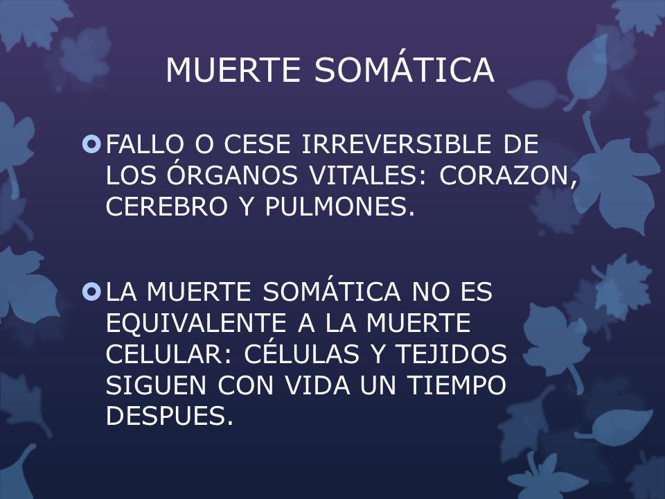 MUERTE SOMÁTICA FALLO O CESE IRREVERSIBLE DE LOS ÓRGANOS VITALES: CORAZON, CEREBRO Y PULMONES.