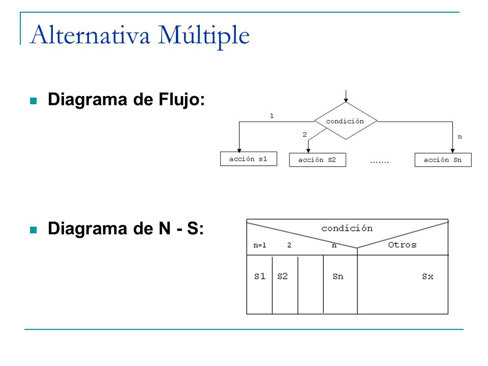 Alternativa Múltiple Diagrama de Flujo: Diagrama de N - S: