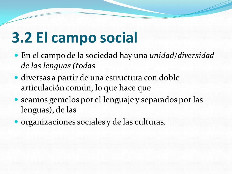 3.2 El campo social En el campo de la sociedad hay una unidad/diversidad de las lenguas (todas.