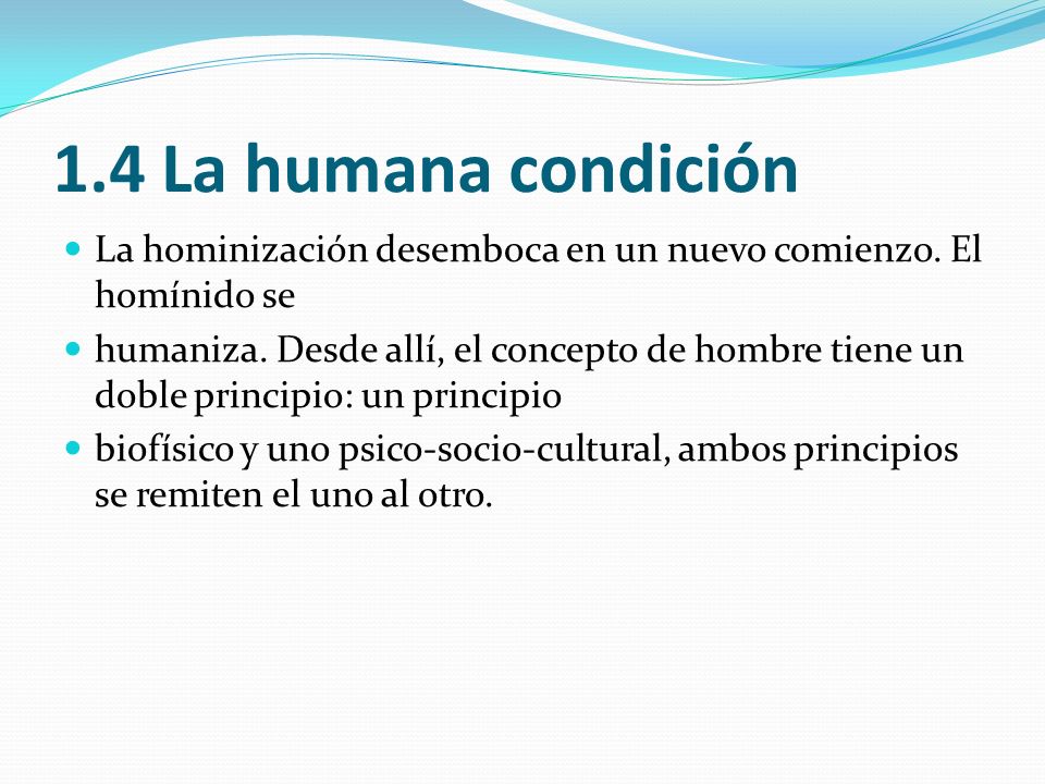 1.4 La humana condición La hominización desemboca en un nuevo comienzo. El homínido se.