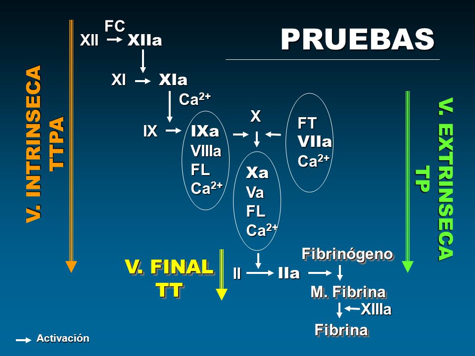 PRUEBAS V. INTRINSECA TTPA V. EXTRINSECA TP V. FINAL TT FC XII XIIa