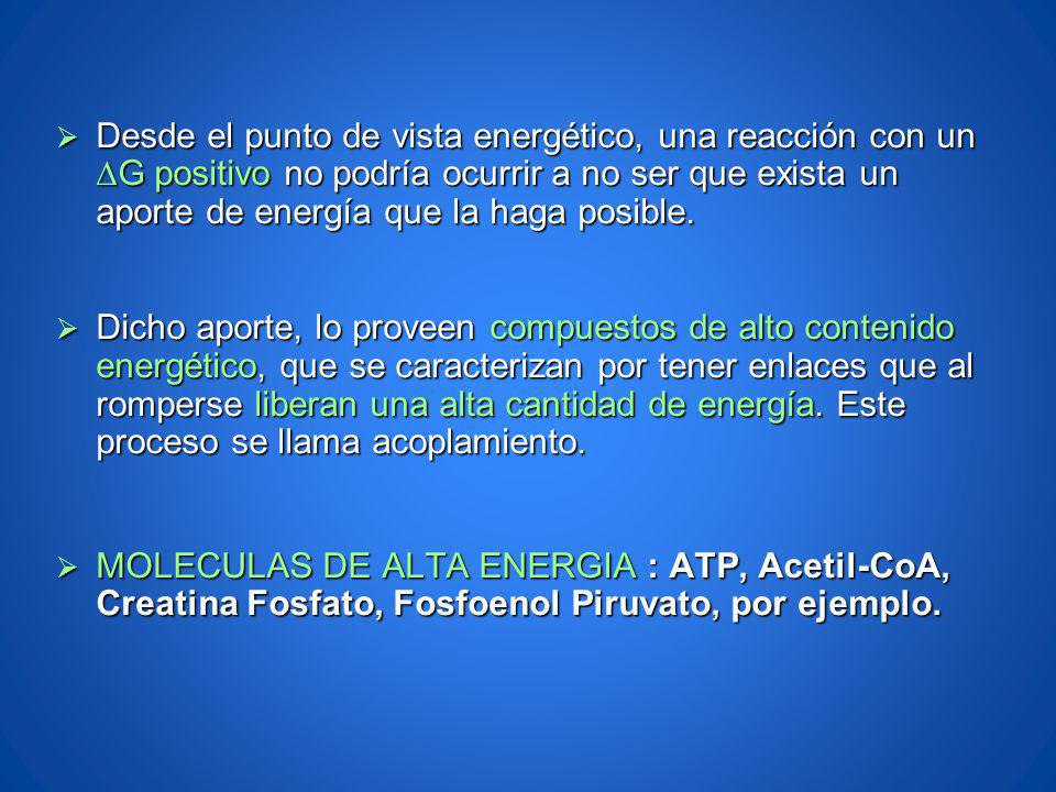 Desde el punto de vista energético, una reacción con un DG positivo no podría ocurrir a no ser que exista un aporte de energía que la haga posible.