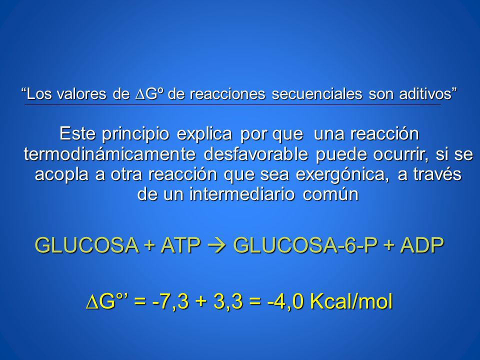 GLUCOSA + ATP  GLUCOSA-6-P + ADP ∆G°’ = -7,3 + 3,3 = -4,0 Kcal/mol