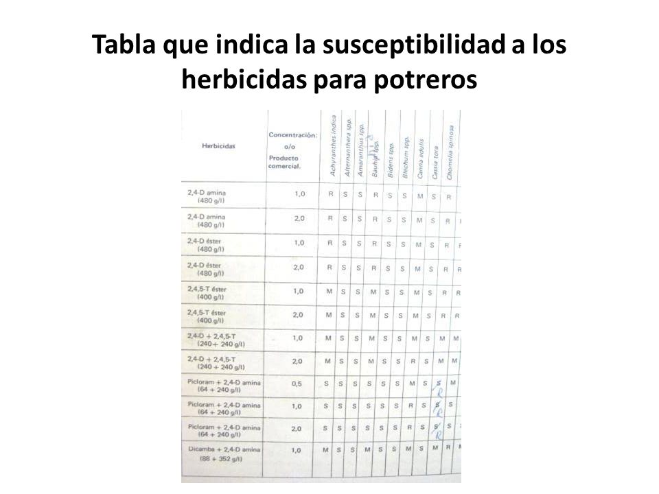 Tabla que indica la susceptibilidad a los herbicidas para potreros