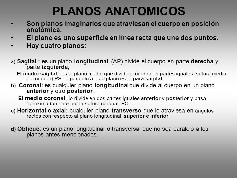 PLANOS ANATOMICOS Son planos imaginarios que atraviesan el cuerpo en posición anatómica.