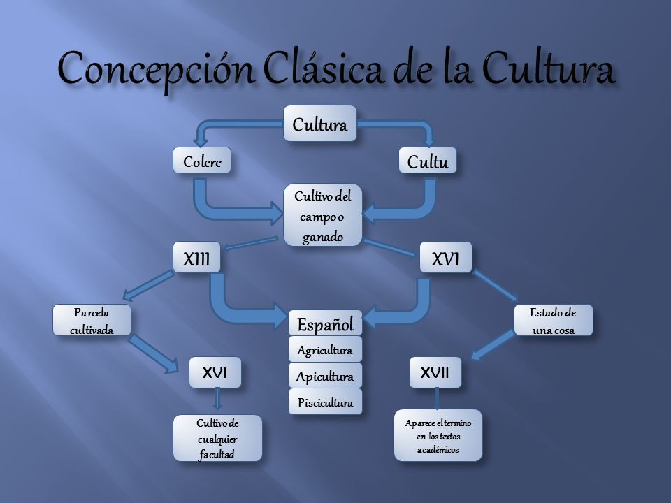 Concepción Clásica de la Cultura