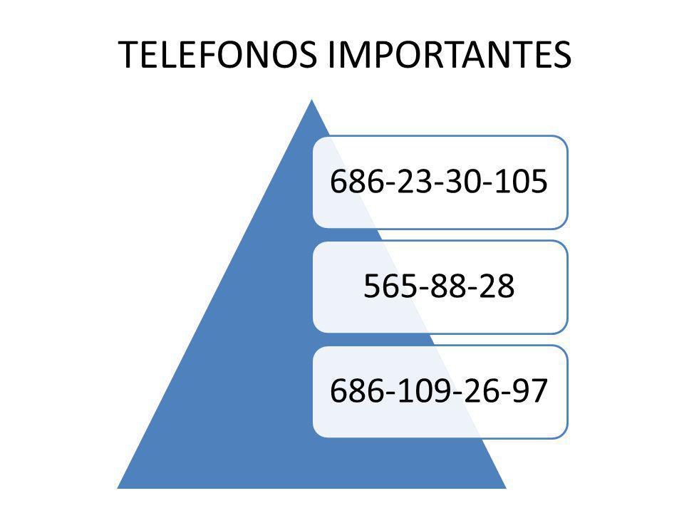 TELEFONOS IMPORTANTES