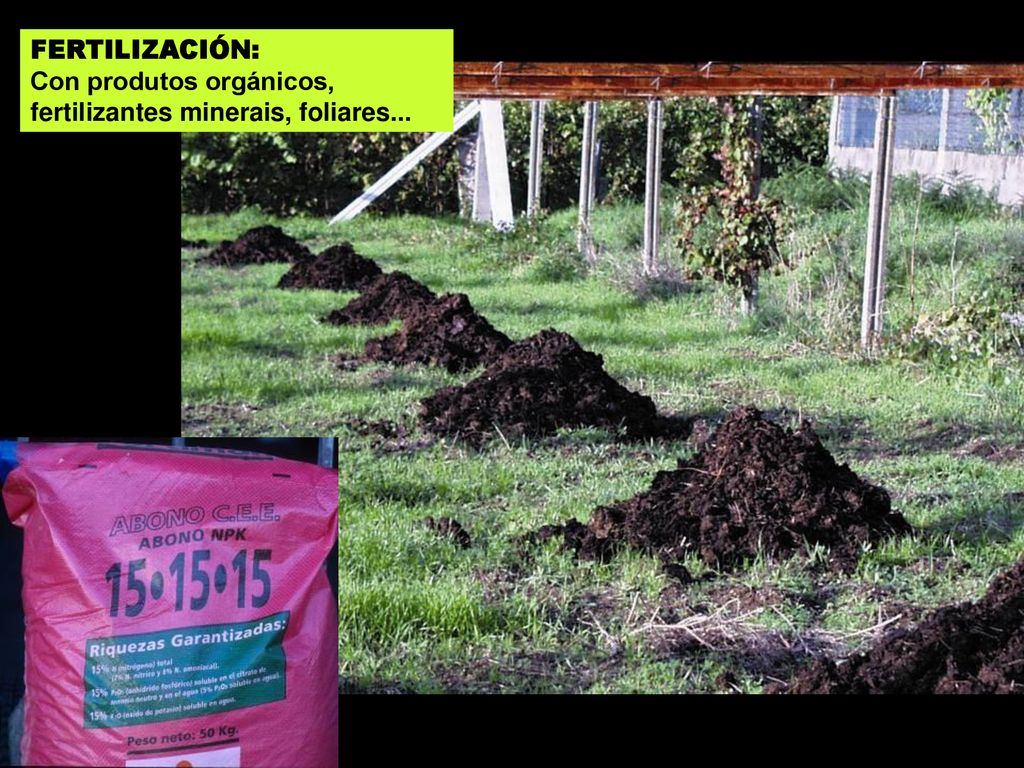 FERTILIZACIÓN: Con produtos orgánicos, fertilizantes minerais, foliares...