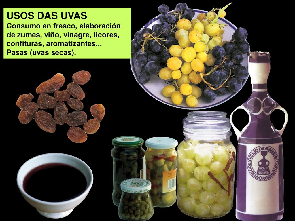 USOS DAS UVAS Consumo en fresco, elaboración de zumes, viño, vinagre, licores, confituras, aromatizantes...