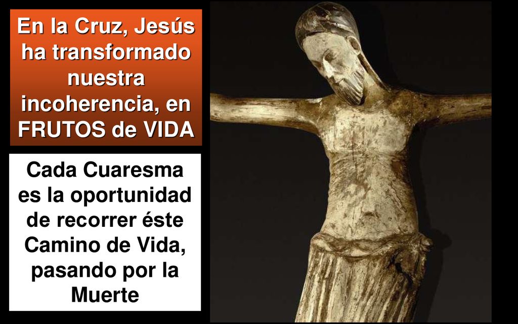 En la Cruz, Jesús ha transformado nuestra incoherencia, en FRUTOS de VIDA