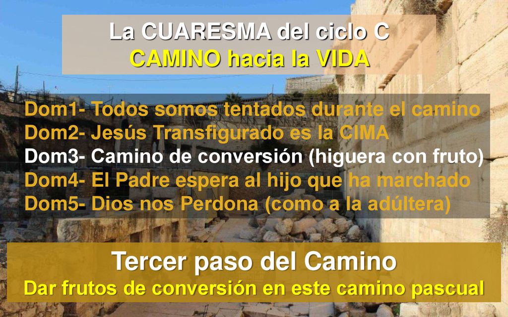 Tercer paso del Camino Dar frutos de conversión en este camino pascual