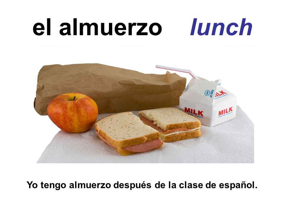 el almuerzo lunch Yo tengo almuerzo después de la clase de español.