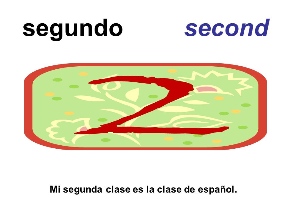 segundo second Mi segunda clase es la clase de español.