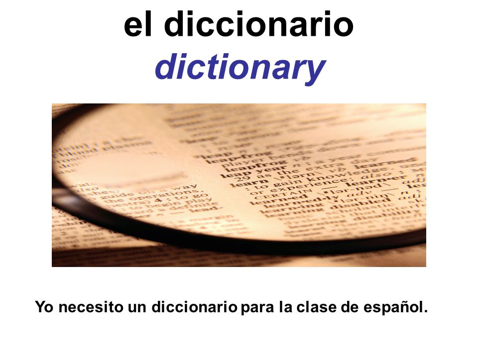 el diccionario dictionary